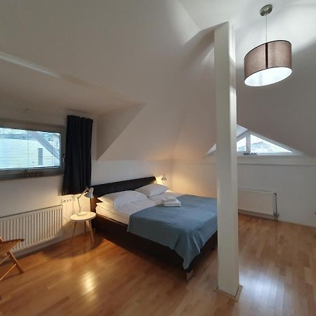 Charming Apartment Mila In Privat House With Free Parking Ljubljana Kültér fotó