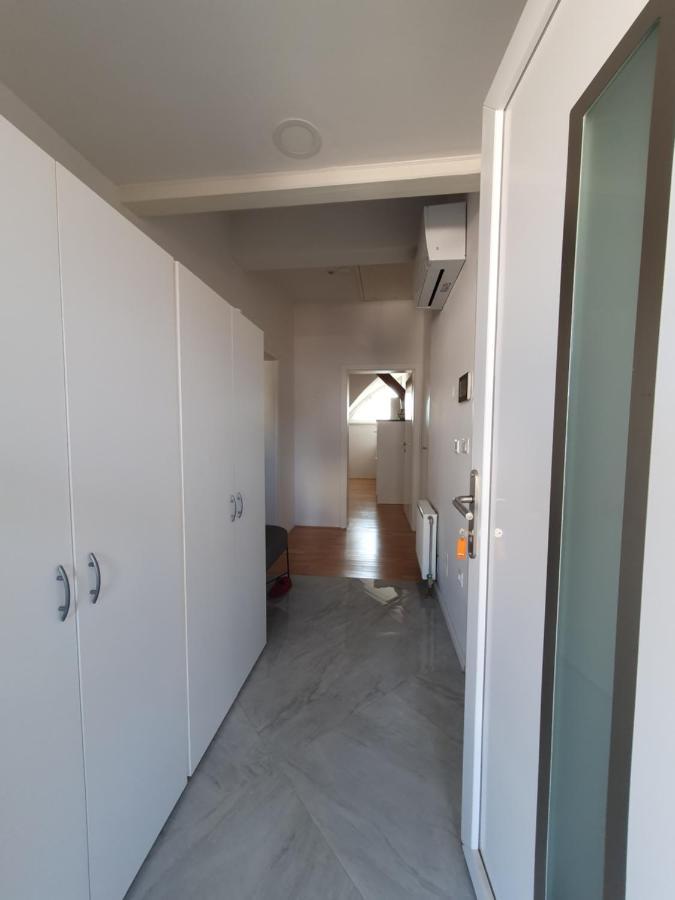 Charming Apartment Mila In Privat House With Free Parking Ljubljana Kültér fotó
