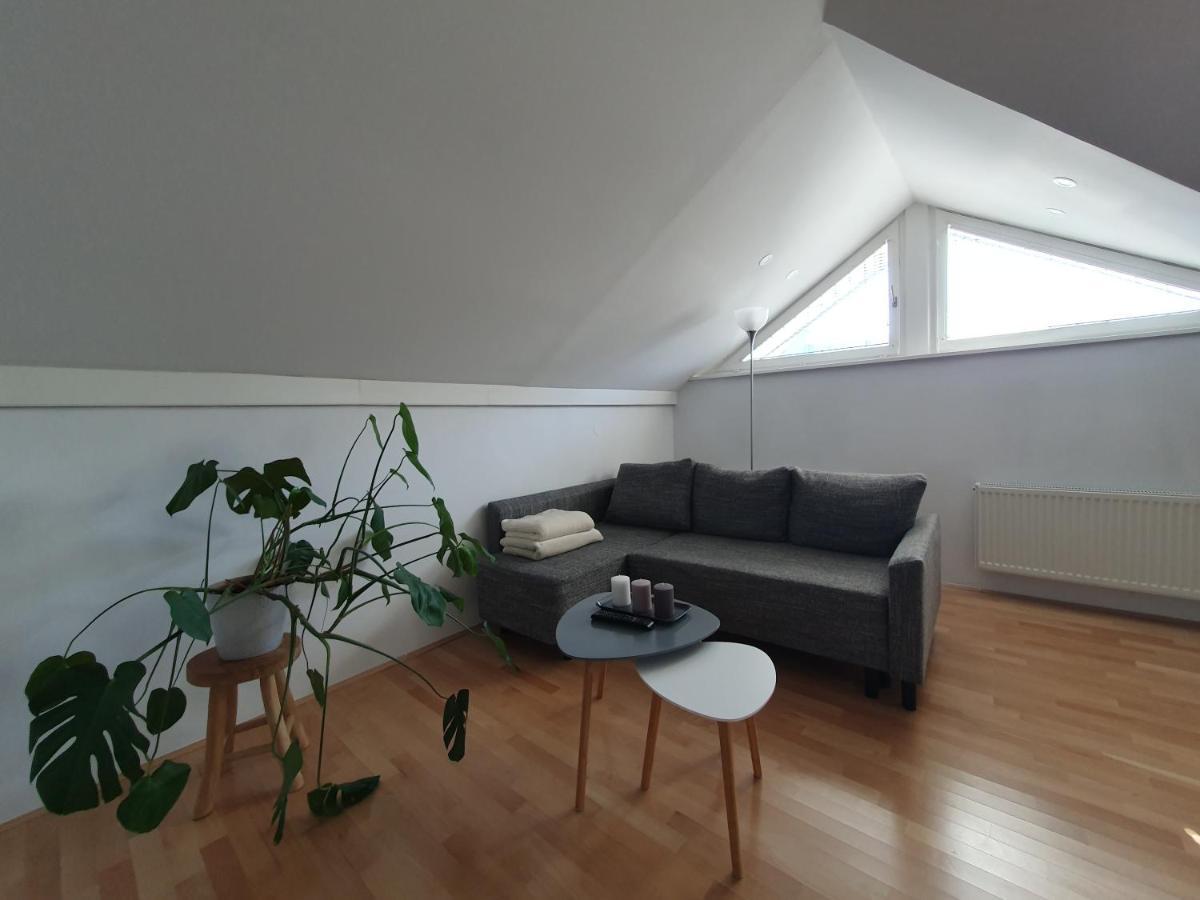 Charming Apartment Mila In Privat House With Free Parking Ljubljana Kültér fotó