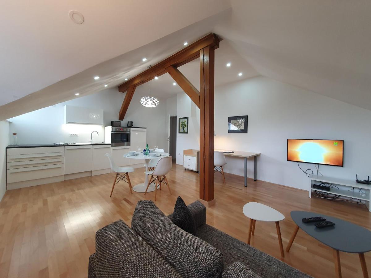 Charming Apartment Mila In Privat House With Free Parking Ljubljana Kültér fotó